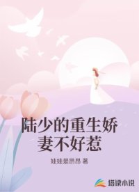陆少的重生娇妻不好惹