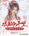 书名