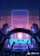 竞甲风暴X