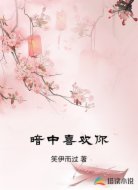暗中喜欢你
