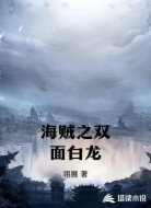 海贼之双面白龙