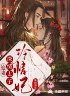 追妻:深情太子冷情妃