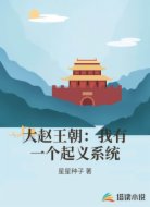大赵王朝：我有一个起义系统