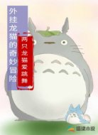 外挂龙猫的奇妙冒险