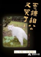 冤种相公又哭了!