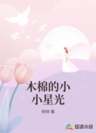 木棉的小小星光
