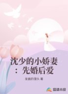 沈少的小娇妻：先婚后爱