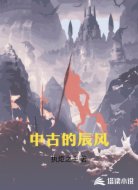 中古的辰风