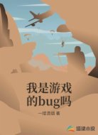 我是游戏的bug吗