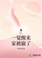 一觉醒来家被偷了