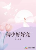 傅少好好宠