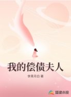 我的偿债夫人