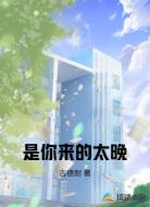 是你来的太晚