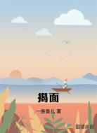 揭面