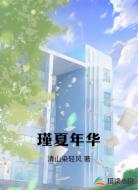 瑾夏年华