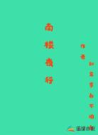 南楼夜行
