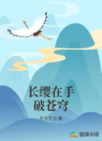 长缨在手破苍穹
