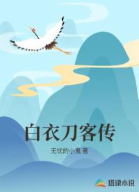 白衣刀客传