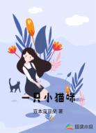 一只小猫咪