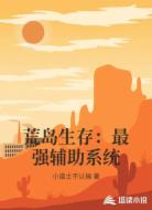 荒岛生存：最强辅助系统