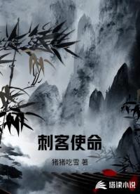 刺客使命