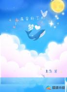 满是补丁的梦
