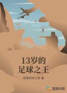 13岁的足球之王