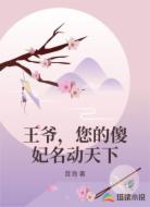 王爷,您的傻妃名动天下