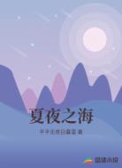 夏夜之海