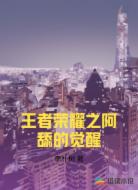 王者荣耀之阿舔的觉醒