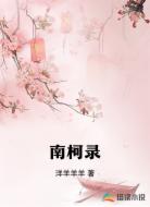 南柯录