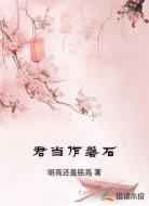 君当作磐石