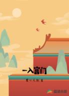 一入宫门