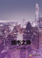 城市之巅