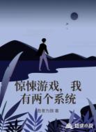 惊悚游戏，我有两个系统