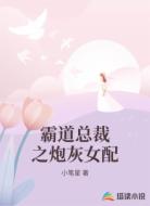 霸道总裁之炮灰女配