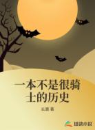一本不是很骑士的历史