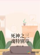 死神之三魂特别章