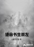 绝命书生崇左