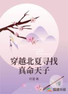 穿越北夏寻找真命天子