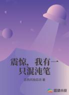 震惊,我有一只混沌笔