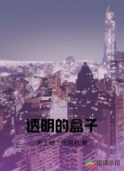 透明的盒子