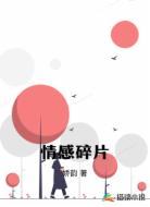 情感碎片