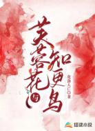 芙蓉花与知更鸟