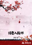 待君入我怀