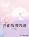 自由散漫的猫
