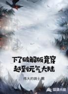 下了破解版竟穿越到元气大陆