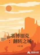 赛博朋克:翻转之城