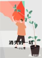 消失的一切