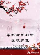 穿到清宫剧中拯救男配